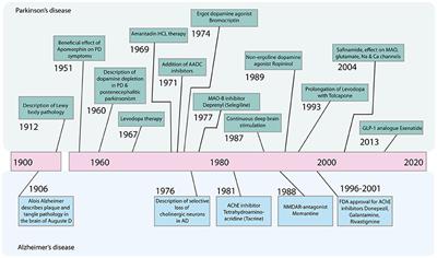 The Therapeutic Potential of Metformin in Neurodegenerative Diseases